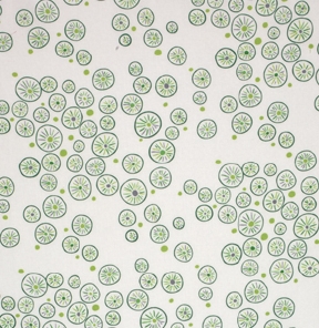 avw15858-316